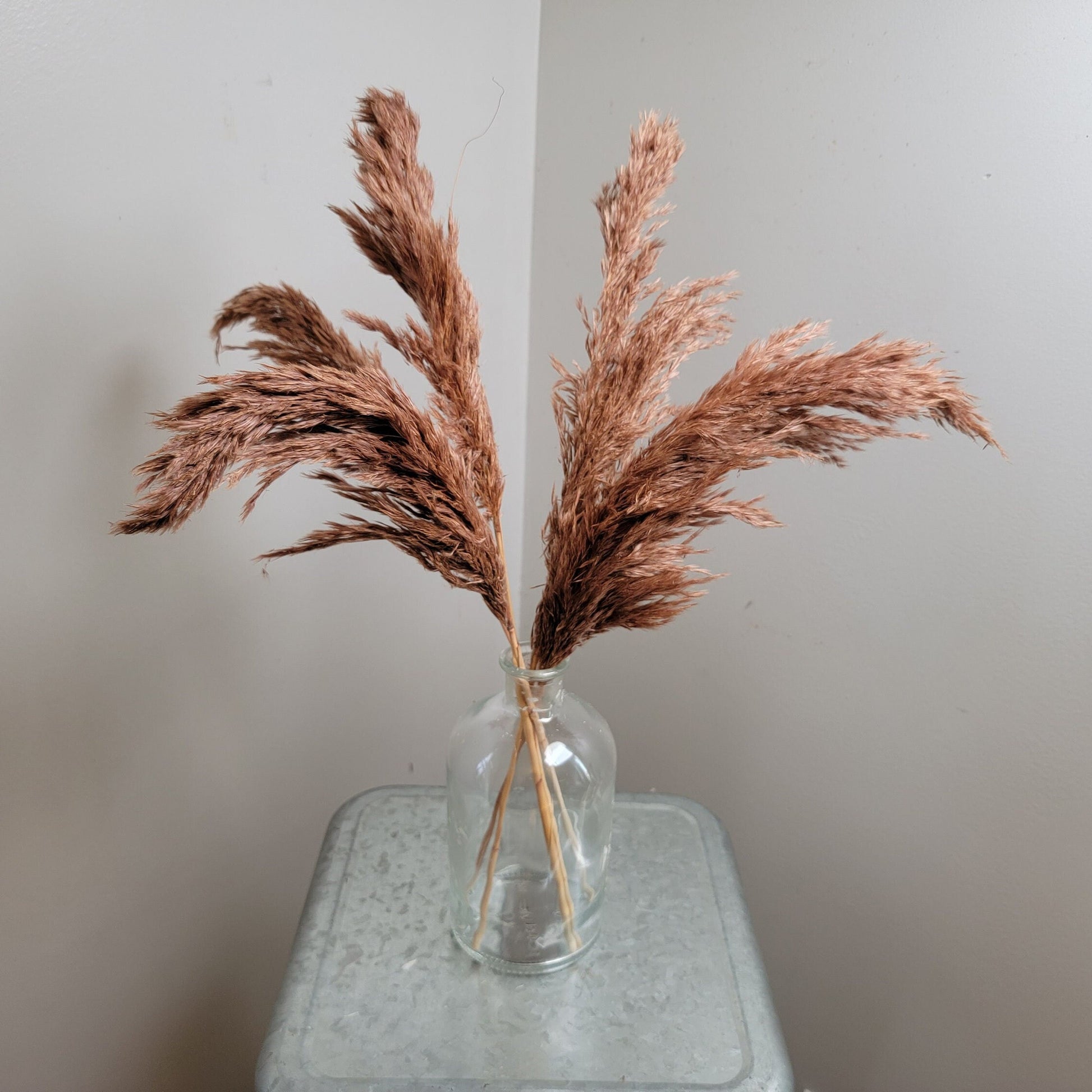 Dried Pampas Grass Bundle: Home Wedding Flower Arrangement