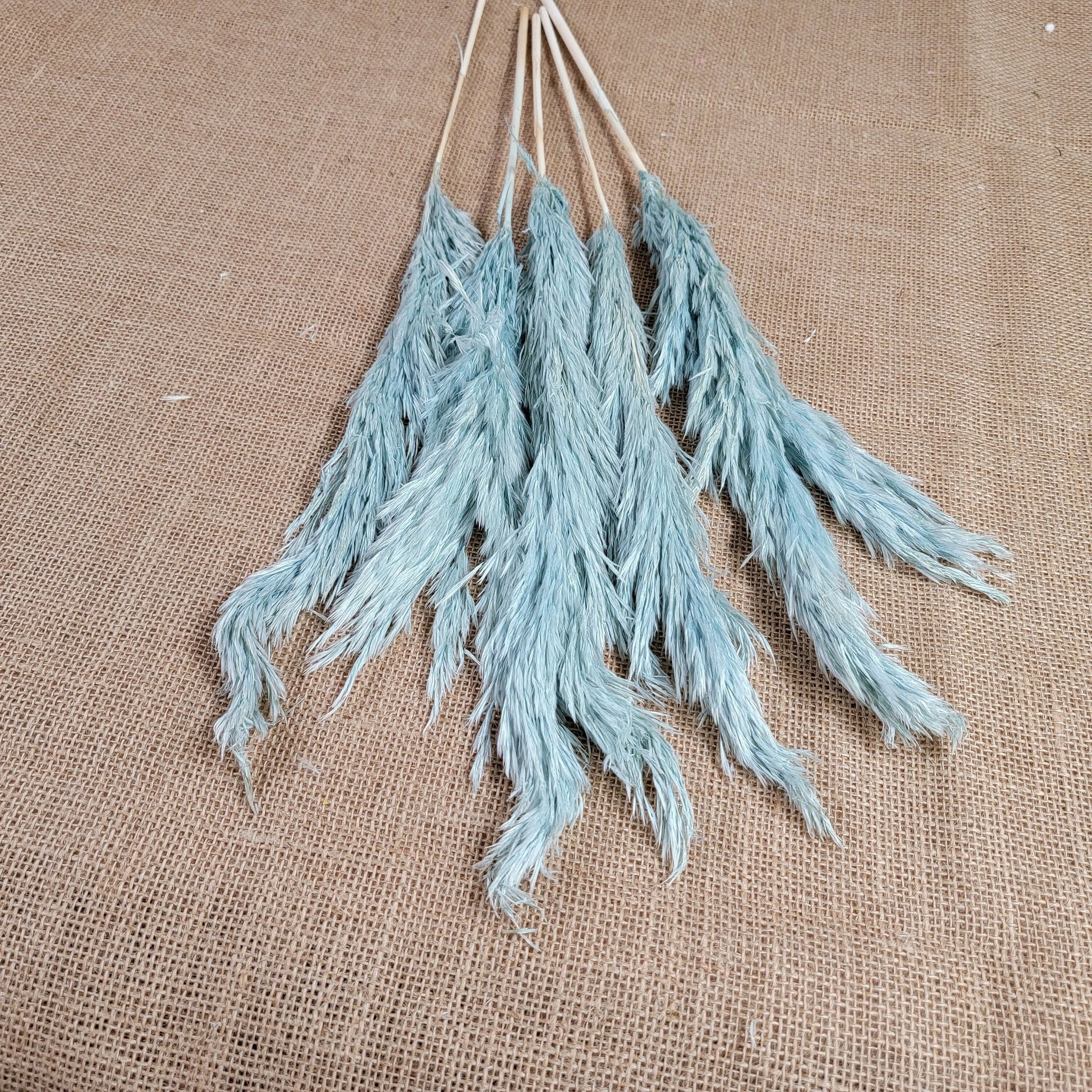 Dried Pampas Grass Bundle: Home Wedding Flower Arrangement