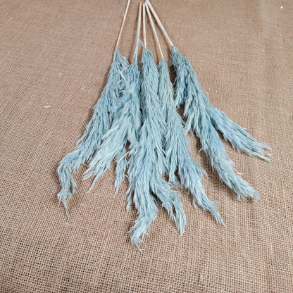Dried Pampas Grass Bundle: Home Wedding Flower Arrangement