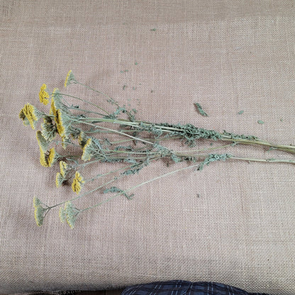 Dried Yellow Yarrow Bunch, Natural Floral Arrangement, Home Decor, 10 Stems