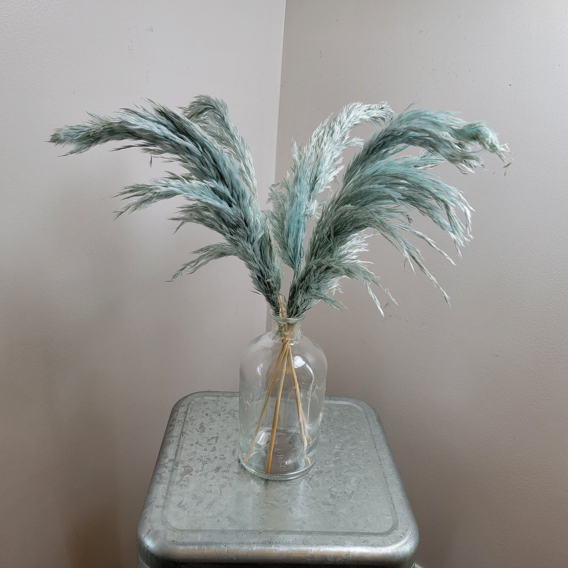 Dried Pampas Grass Bundle: Home Wedding Flower Arrangement