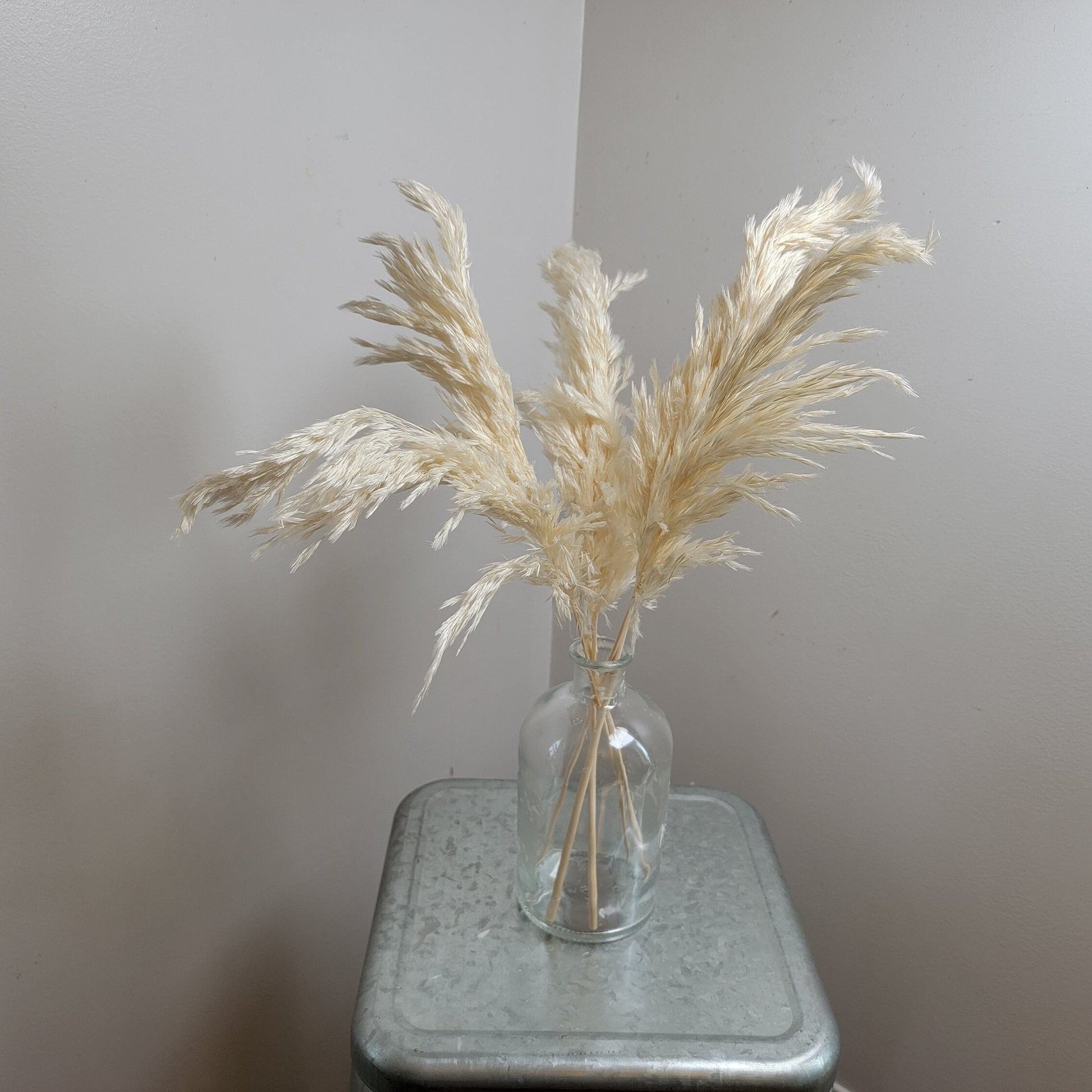 Dried Pampas Grass Bundle: Home Wedding Flower Arrangement