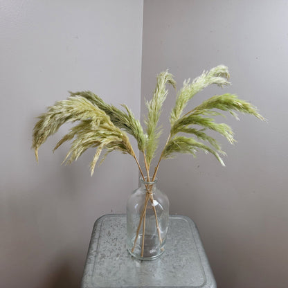Dried Pampas Grass Bundle: Home Wedding Flower Arrangement