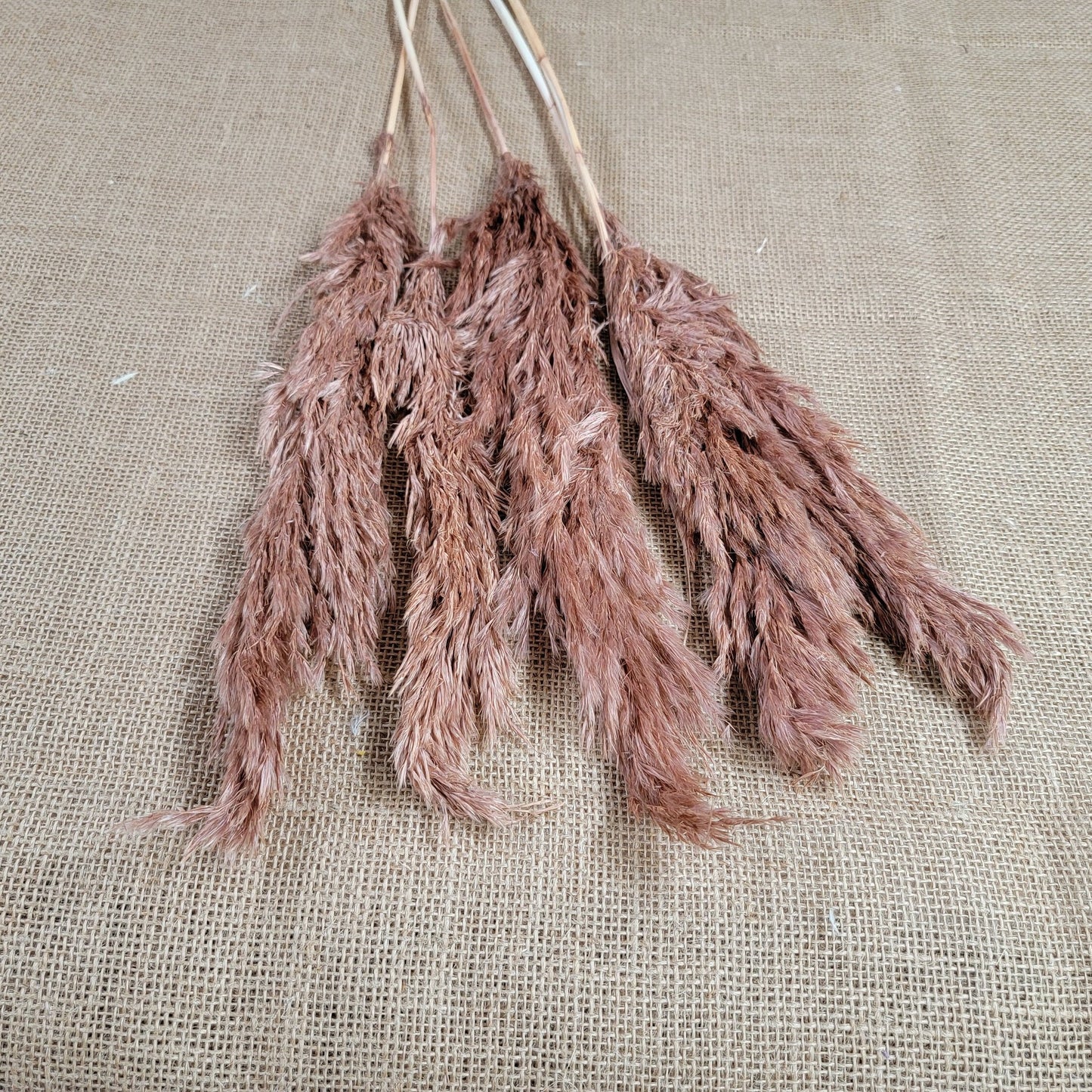 Dried Pampas Grass Bundle: Home Wedding Flower Arrangement