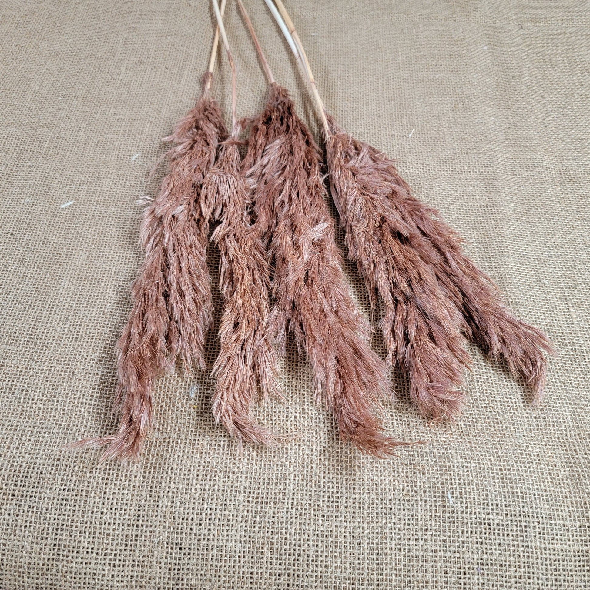 Dried Pampas Grass Bundle: Home Wedding Flower Arrangement