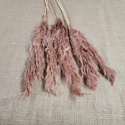 Dried Pampas Grass Bundle: Home Wedding Flower Arrangement