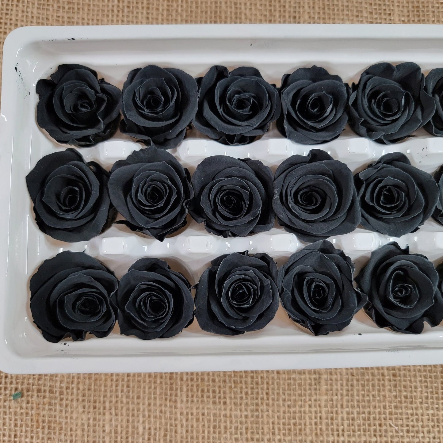 Black Preserved Roses - 21 Pack - Wedding, Prom, Christmas