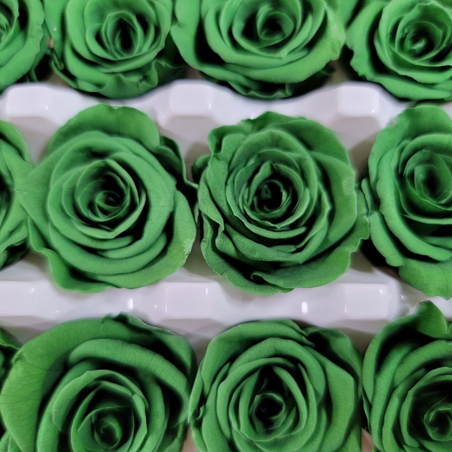 Dark Green Preserved Roses: Wedding & Prom Bouquet (21 Pack)
