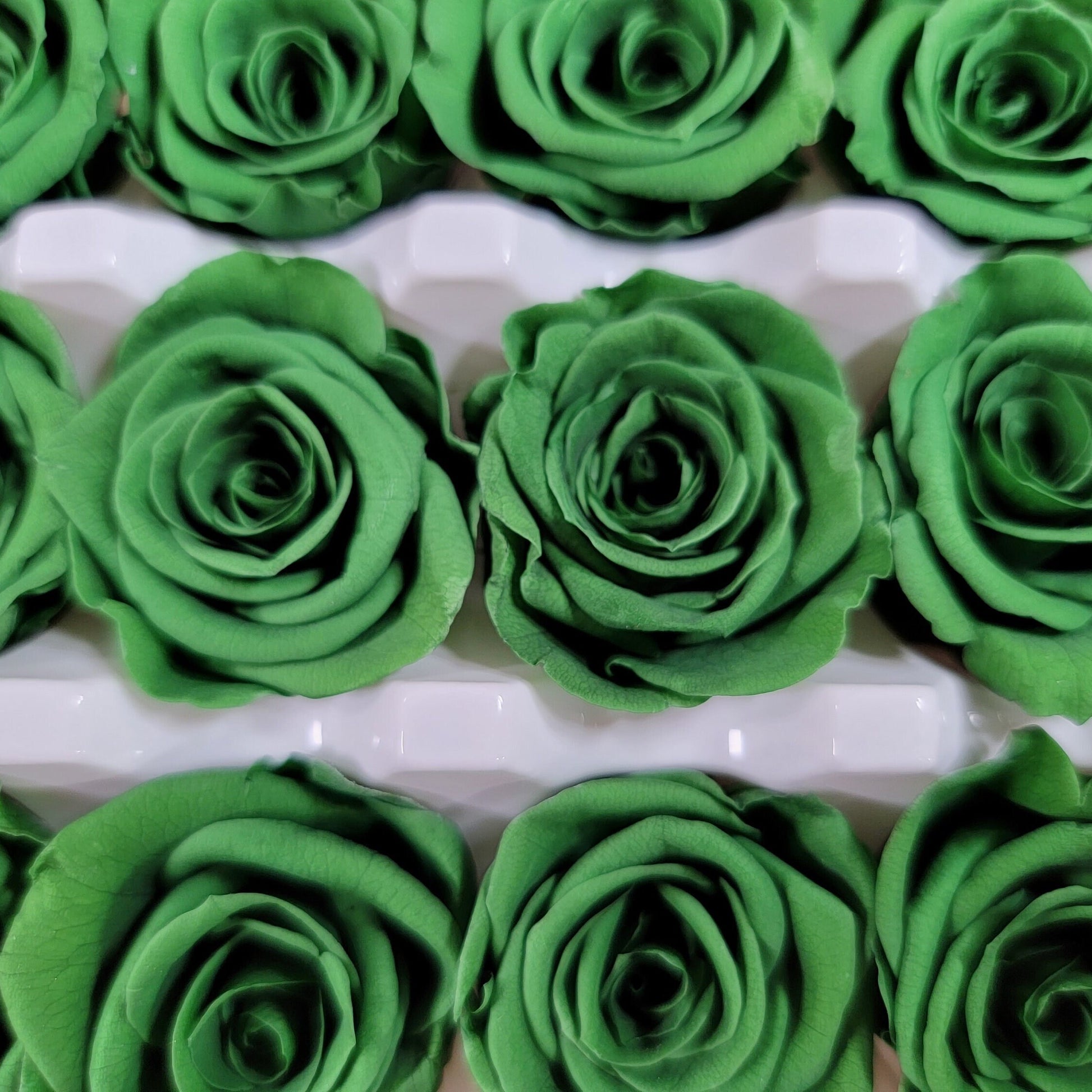 Dark Green Preserved Roses: Wedding & Prom Bouquet (21 Pack)