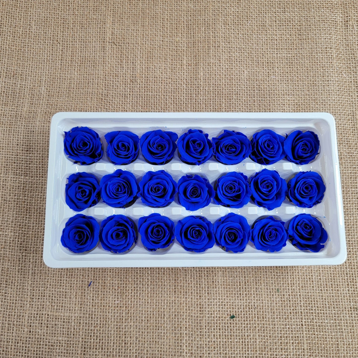 Blue Preserved Roses: Wedding Bouquet, Prom Decor - 21 Pack