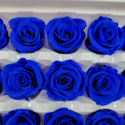 Blue Preserved Roses: Wedding Bouquet, Prom Decor - 21 Pack