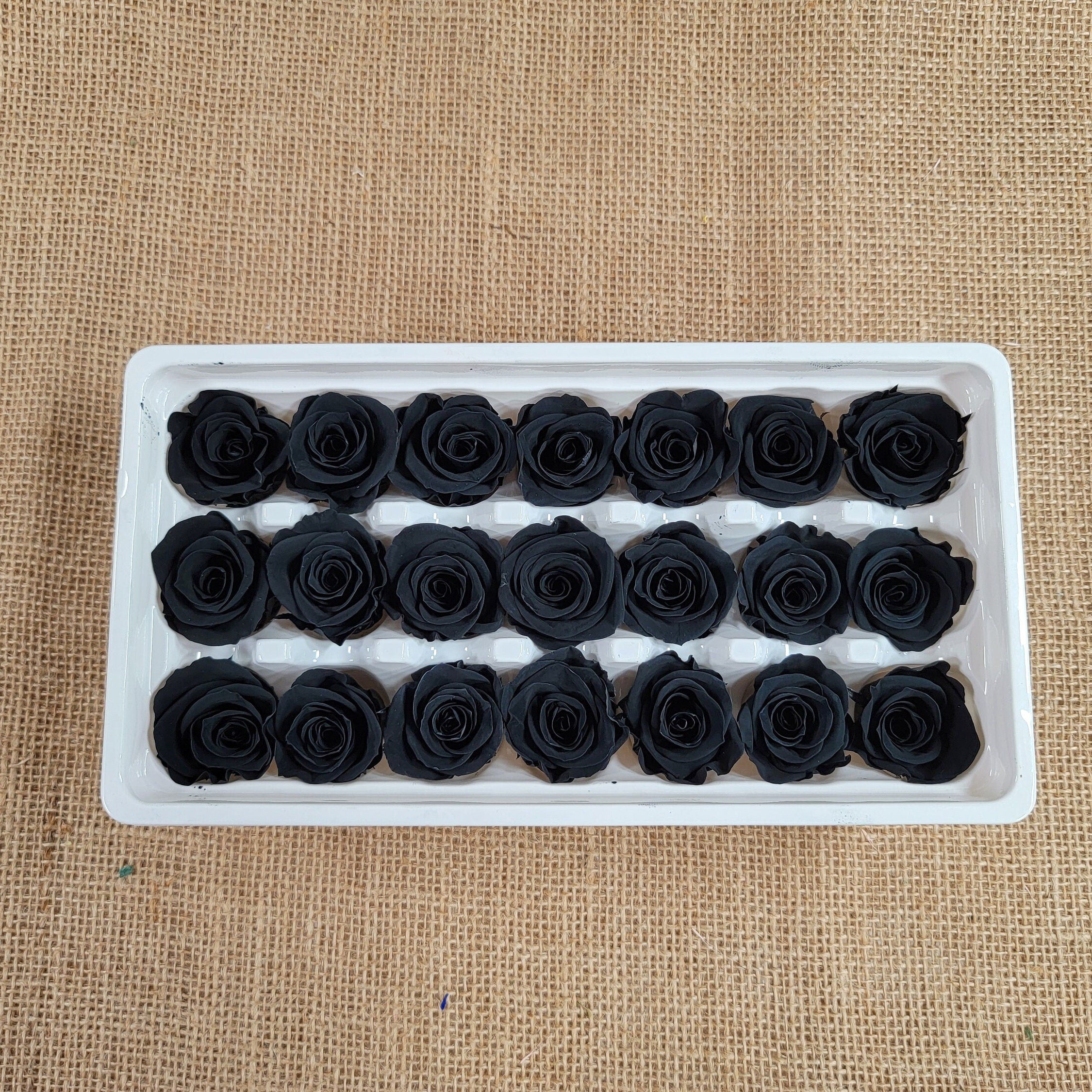 Black Preserved Roses - 21 Pack - Wedding, Prom, Christmas