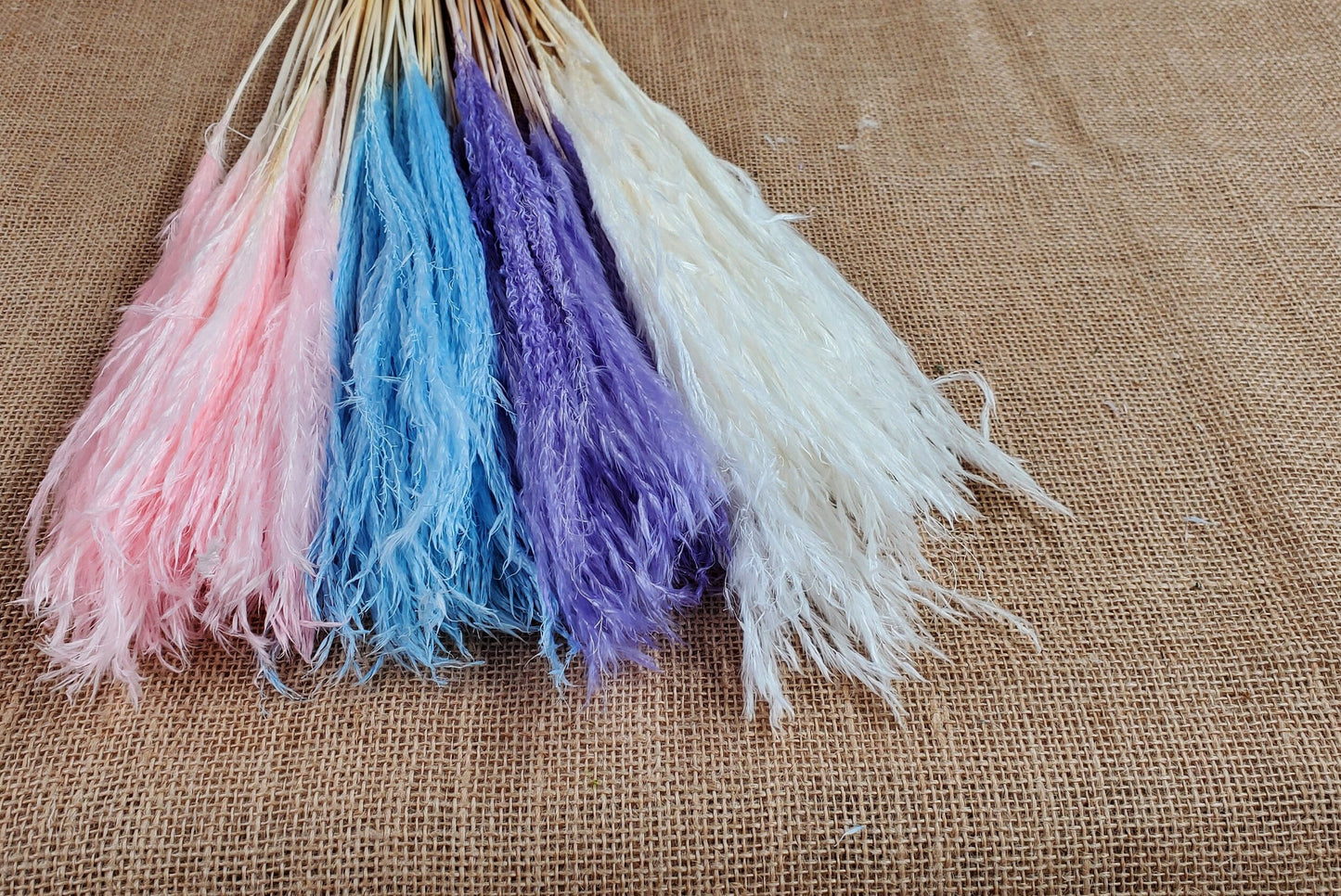 20" Pastel Pampas Grass Stems: Pink, Blue, Purple, White - Wedding Floral Decor