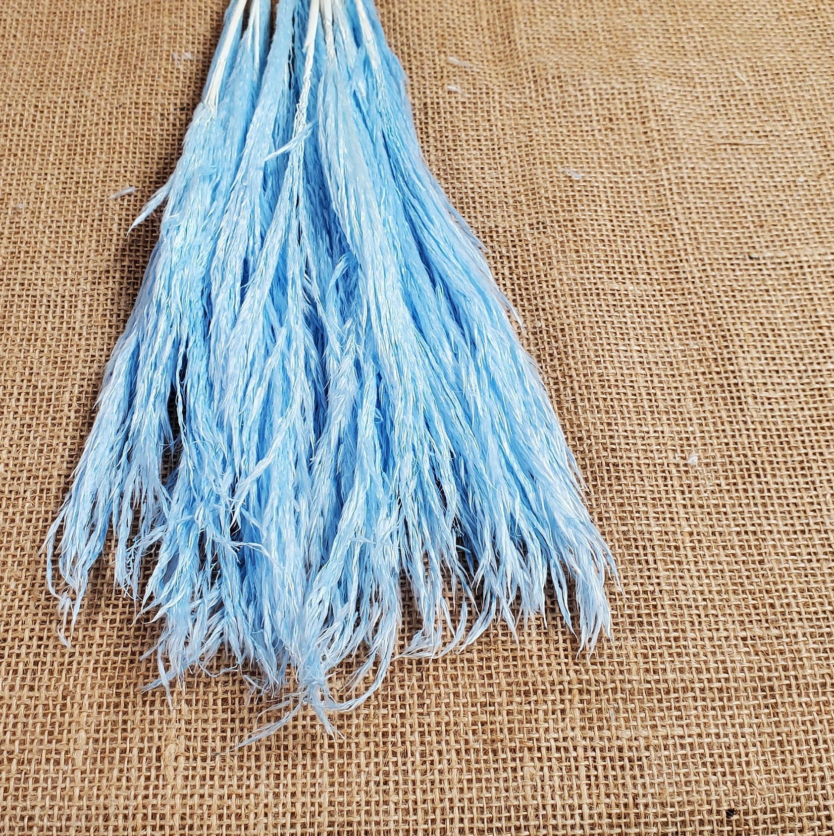 20" Pastel Pampas Grass Stems: Pink, Blue, Purple, White - Wedding Floral Decor
