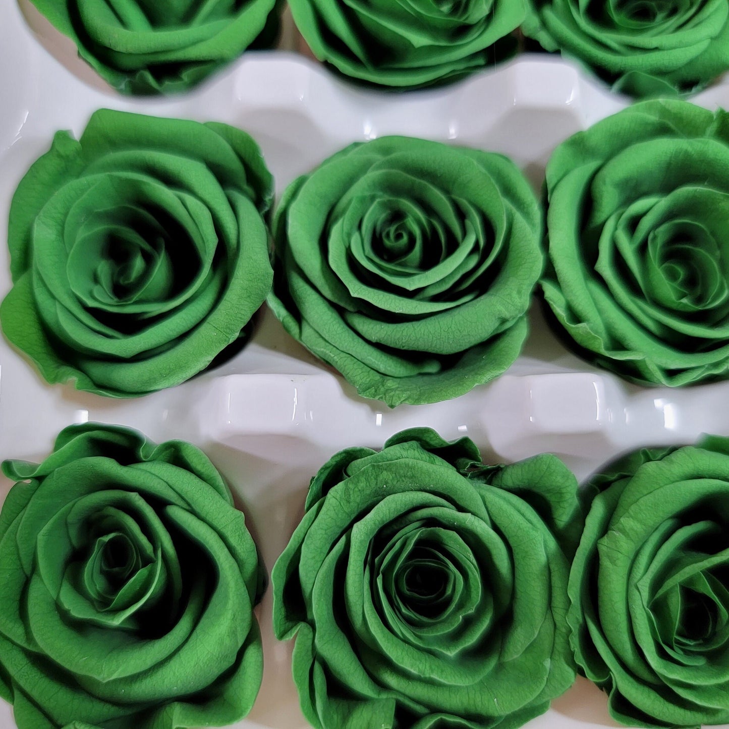 Dark Green Preserved Roses: Wedding & Prom Bouquet (21 Pack)