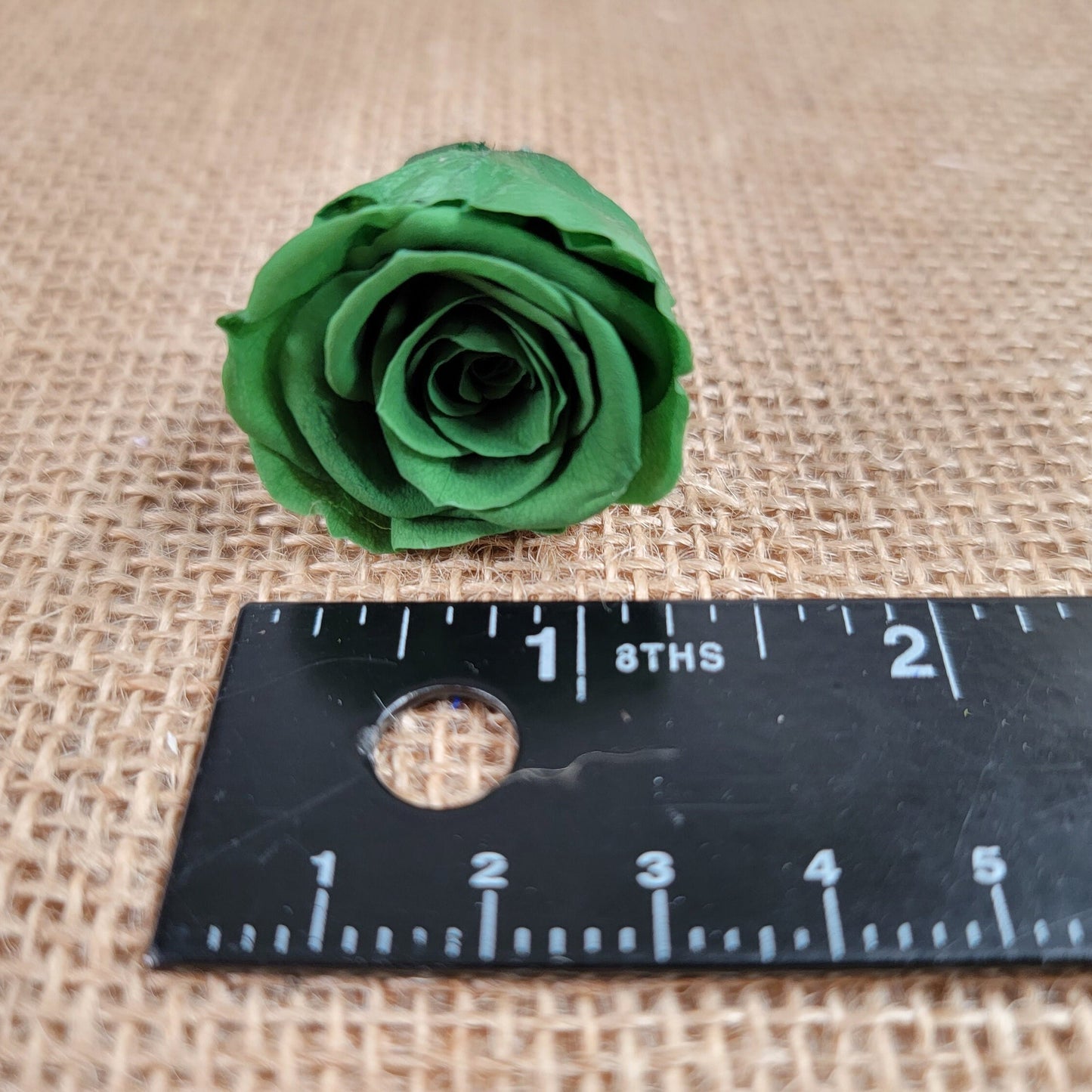 Dark Green Preserved Roses: Wedding & Prom Bouquet (21 Pack)