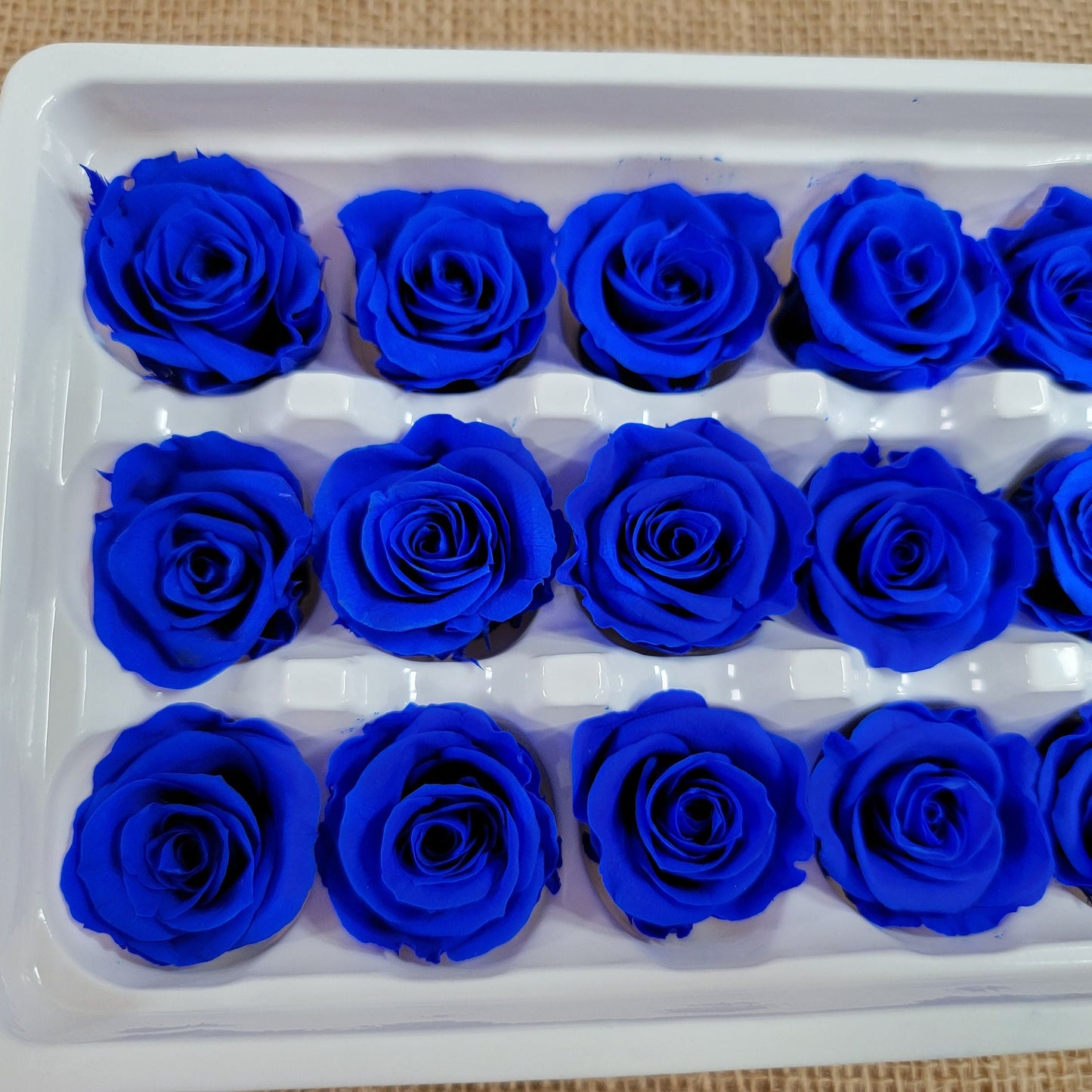 Blue Preserved Roses: Wedding Bouquet, Prom Decor - 21 Pack