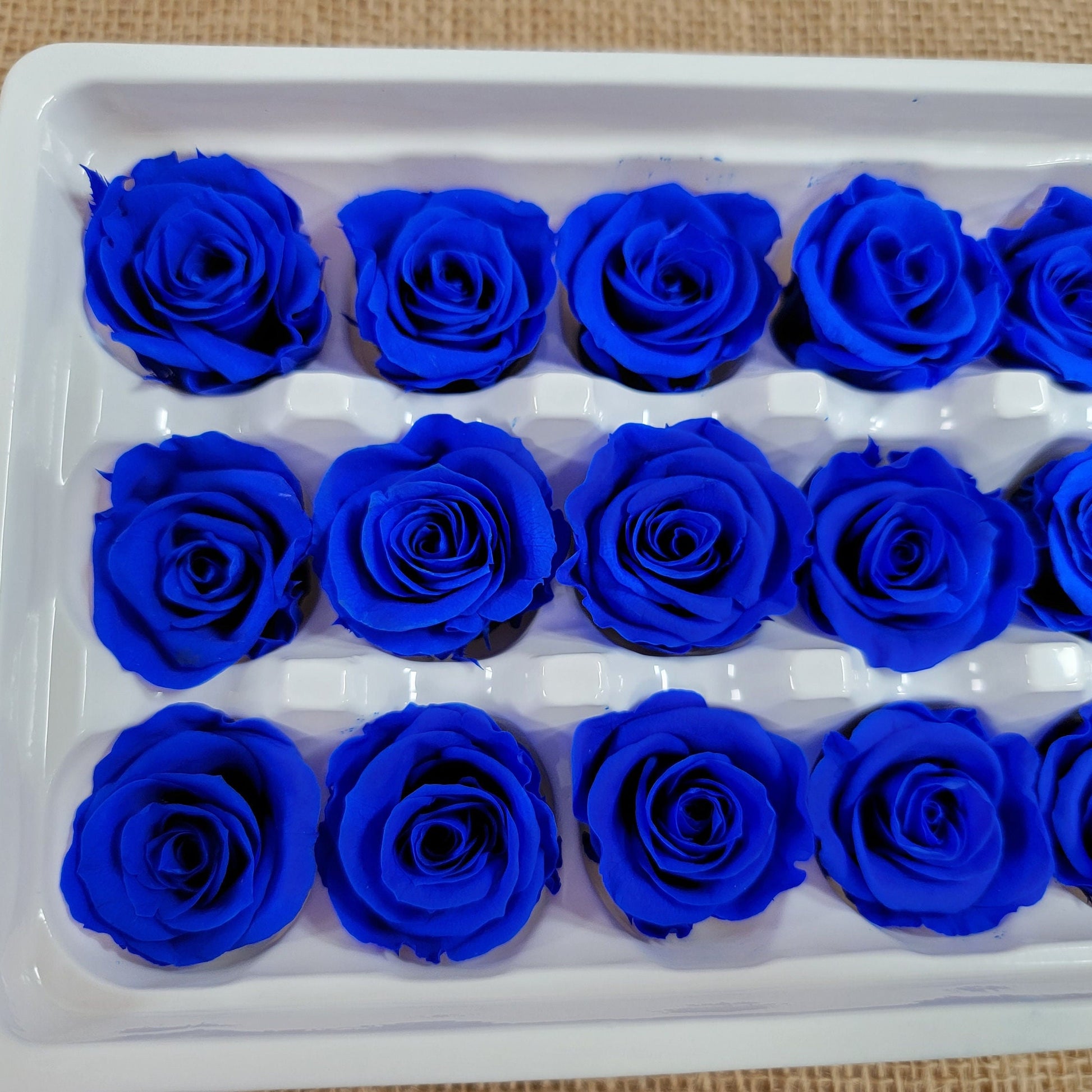 Blue Preserved Roses: Wedding Bouquet, Prom Decor - 21 Pack