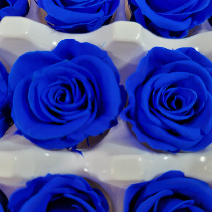 Blue Preserved Roses: Wedding Bouquet, Prom Decor - 21 Pack