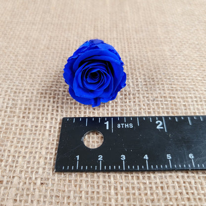 Blue Preserved Roses: Wedding Bouquet, Prom Decor - 21 Pack
