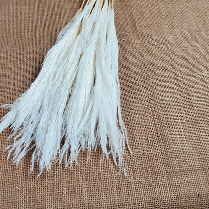 20" Pastel Pampas Grass Stems: Pink, Blue, Purple, White - Wedding Floral Decor