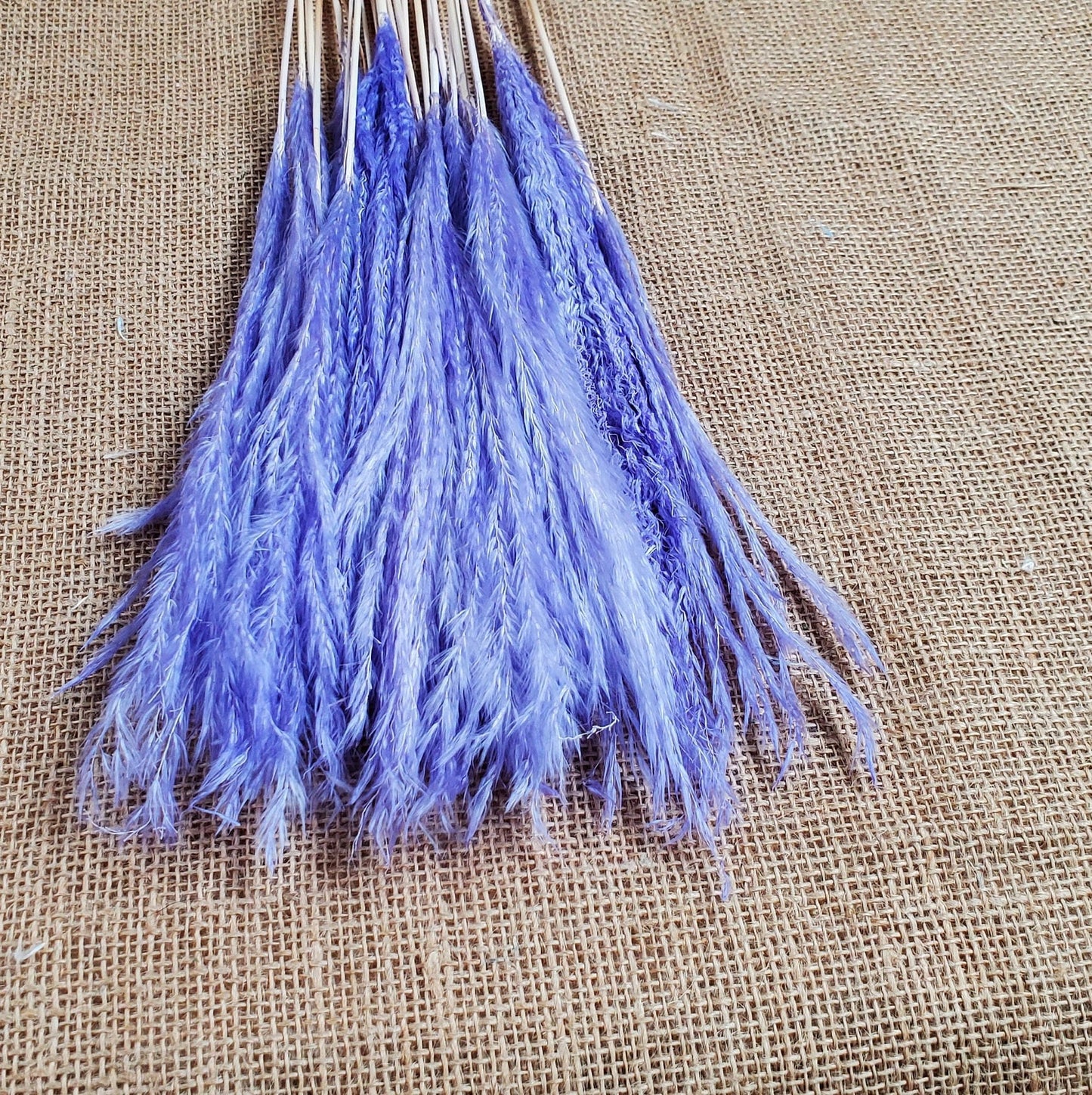20" Pastel Pampas Grass Stems: Pink, Blue, Purple, White - Wedding Floral Decor