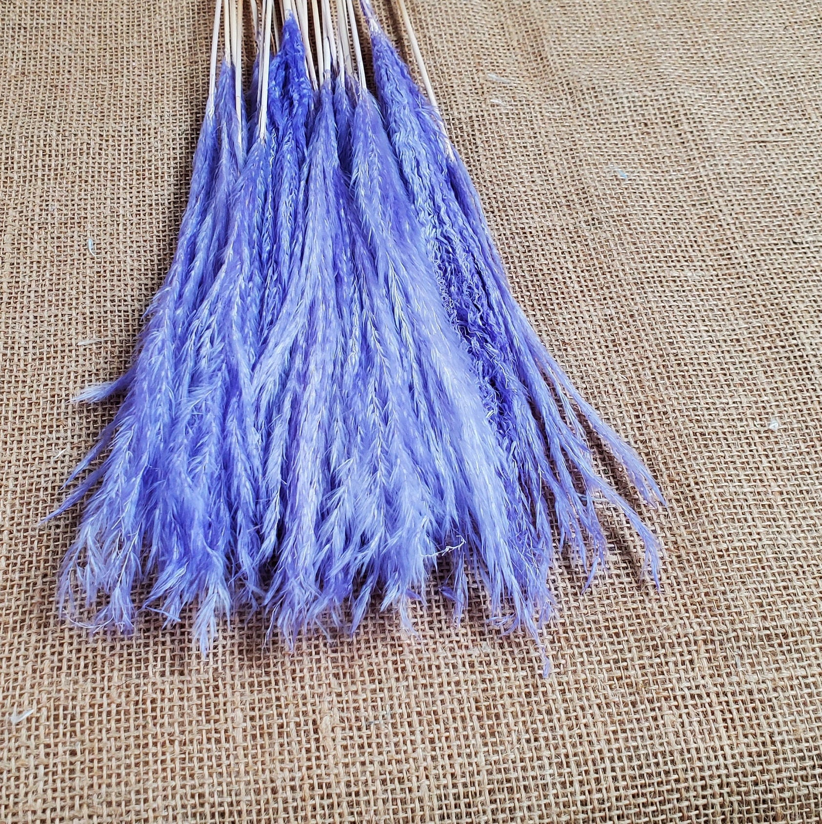 20" Pastel Pampas Grass Stems: Pink, Blue, Purple, White - Wedding Floral Decor