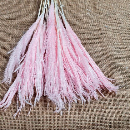 20" Pastel Pampas Grass Stems: Pink, Blue, Purple, White - Wedding Floral Decor