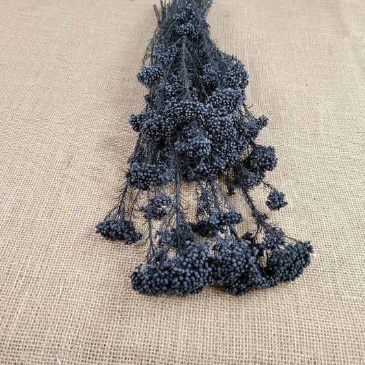Black Preserved rice flower, flowers for bouquets, wedding flowers, filler, dried flowers arrangements, Wedding decor, 19"-20"tall,