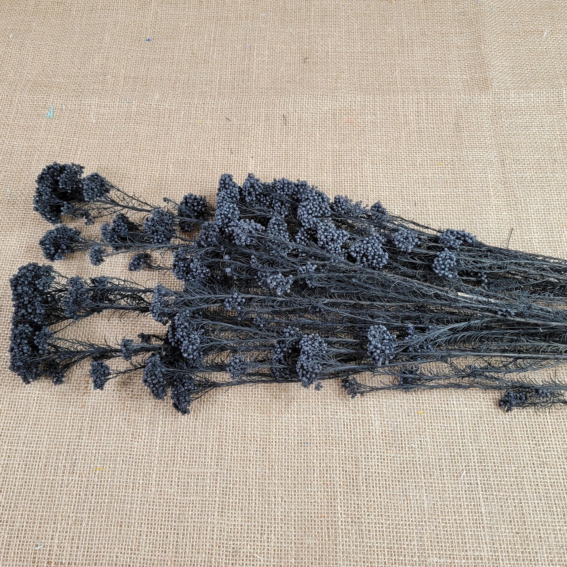 Black Preserved rice flower, flowers for bouquets, wedding flowers, filler, dried flowers arrangements, Wedding decor, 19"-20"tall,