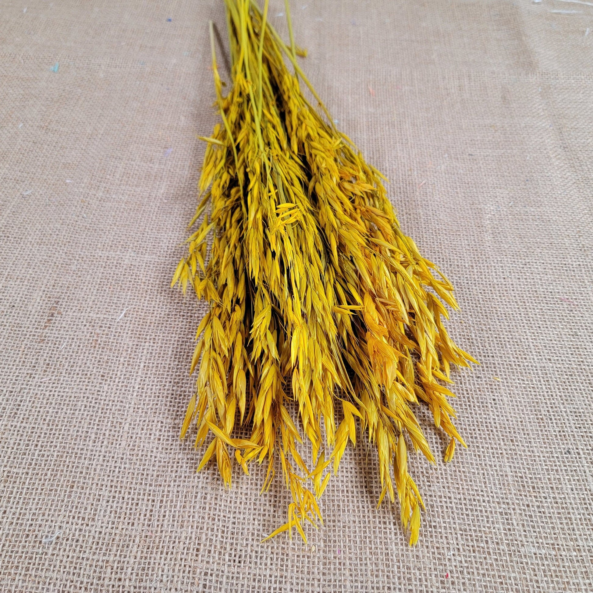 Dried Oats Flower Bundle: Home & Wedding Decor, 20 Stems