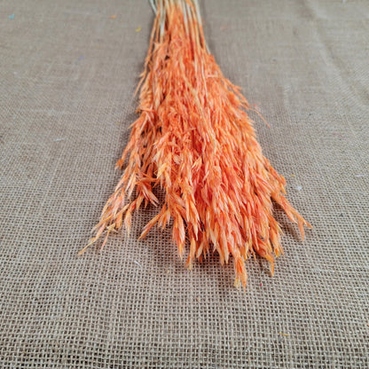 Dried Oats Flower Bundle: Home & Wedding Decor, 20 Stems