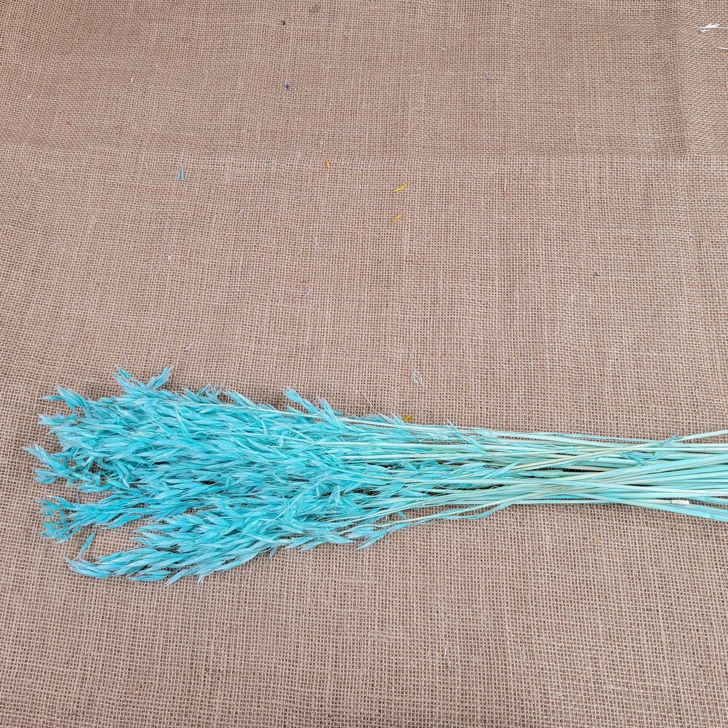 Dried Oats Flower Bundle: Home & Wedding Decor, 20 Stems
