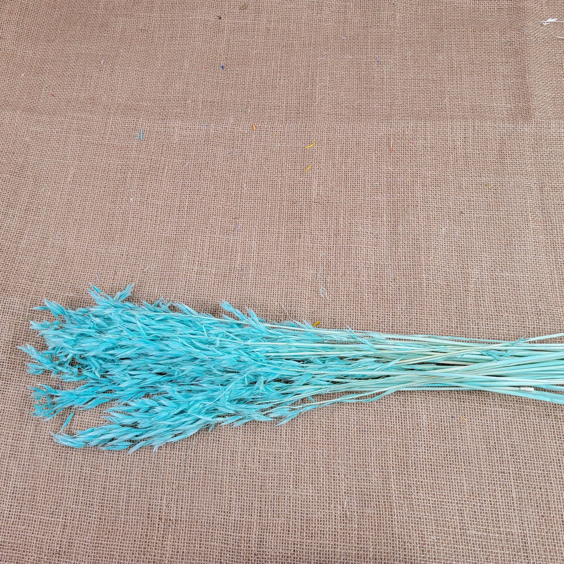 Dried Oats Flower Bundle: Home & Wedding Decor, 20 Stems