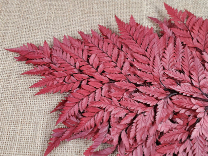 Wine Red Preserved Fern Leather Leaf: 10 Stems Floral Decor