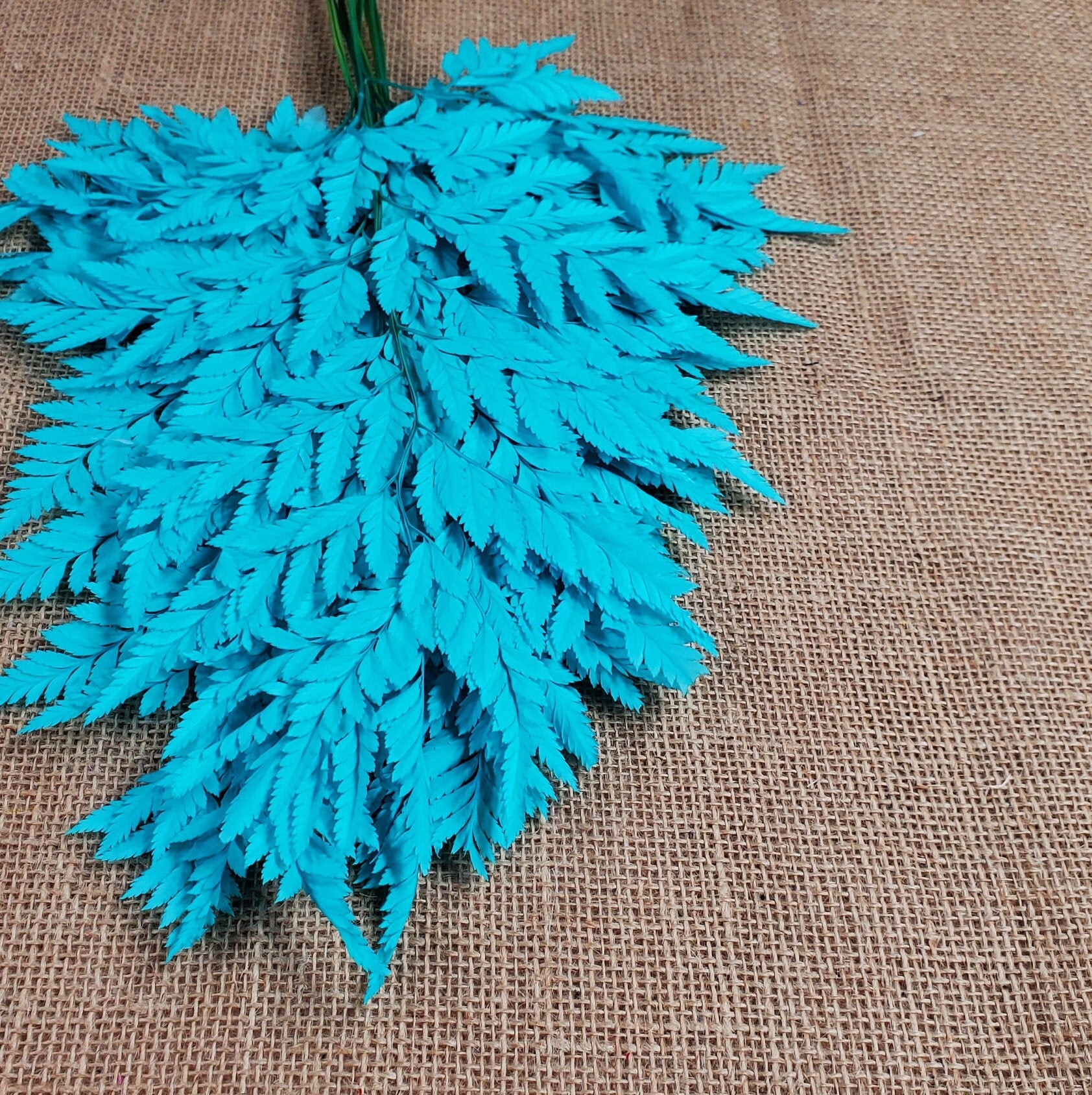 Preserved Leather Leaf Fern: Teal Floral Decor, 10 Stems