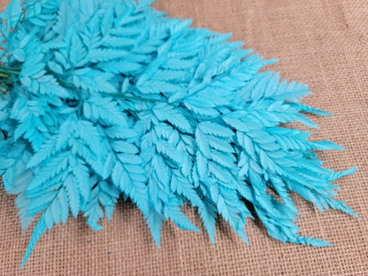 Preserved Leather Leaf Fern: Teal Floral Decor, 10 Stems