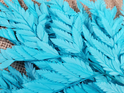 Preserved Leather Leaf Fern: Teal Floral Decor, 10 Stems