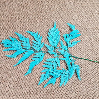 Preserved Leather Leaf Fern: Teal Floral Decor, 10 Stems