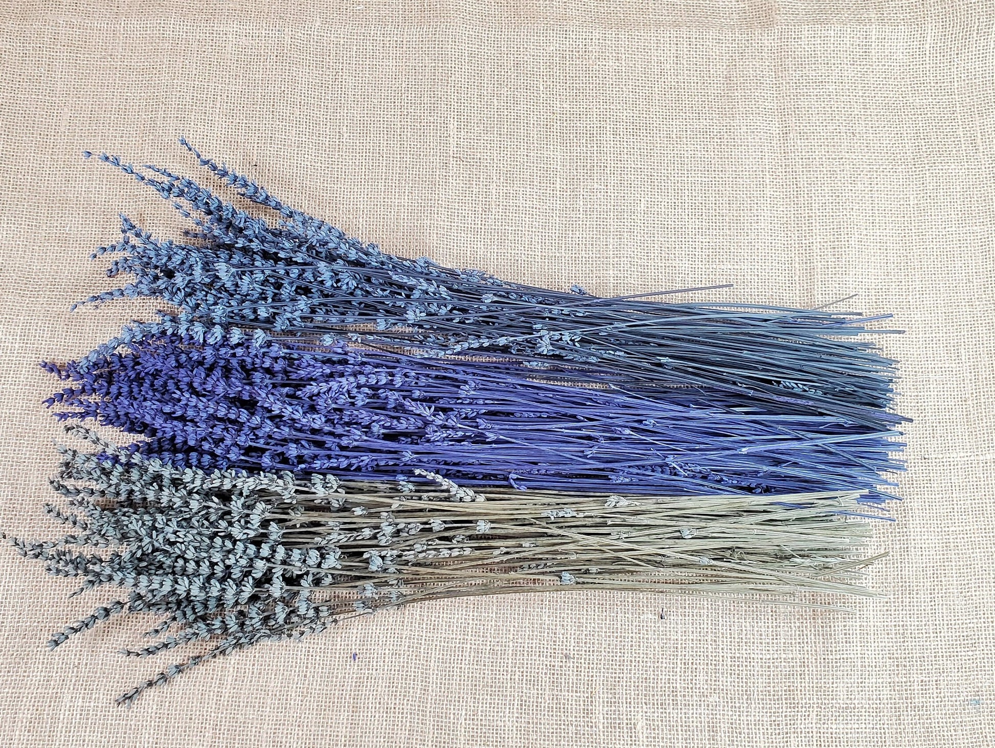 Organic Dried Lavender: Bulk Wholesale, Relaxing Aroma (4oz)