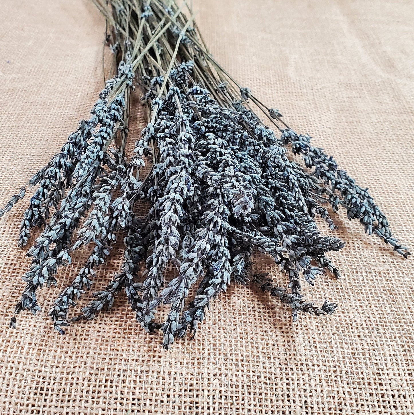Organic Dried Lavender: Bulk Wholesale, Relaxing Aroma (4oz)