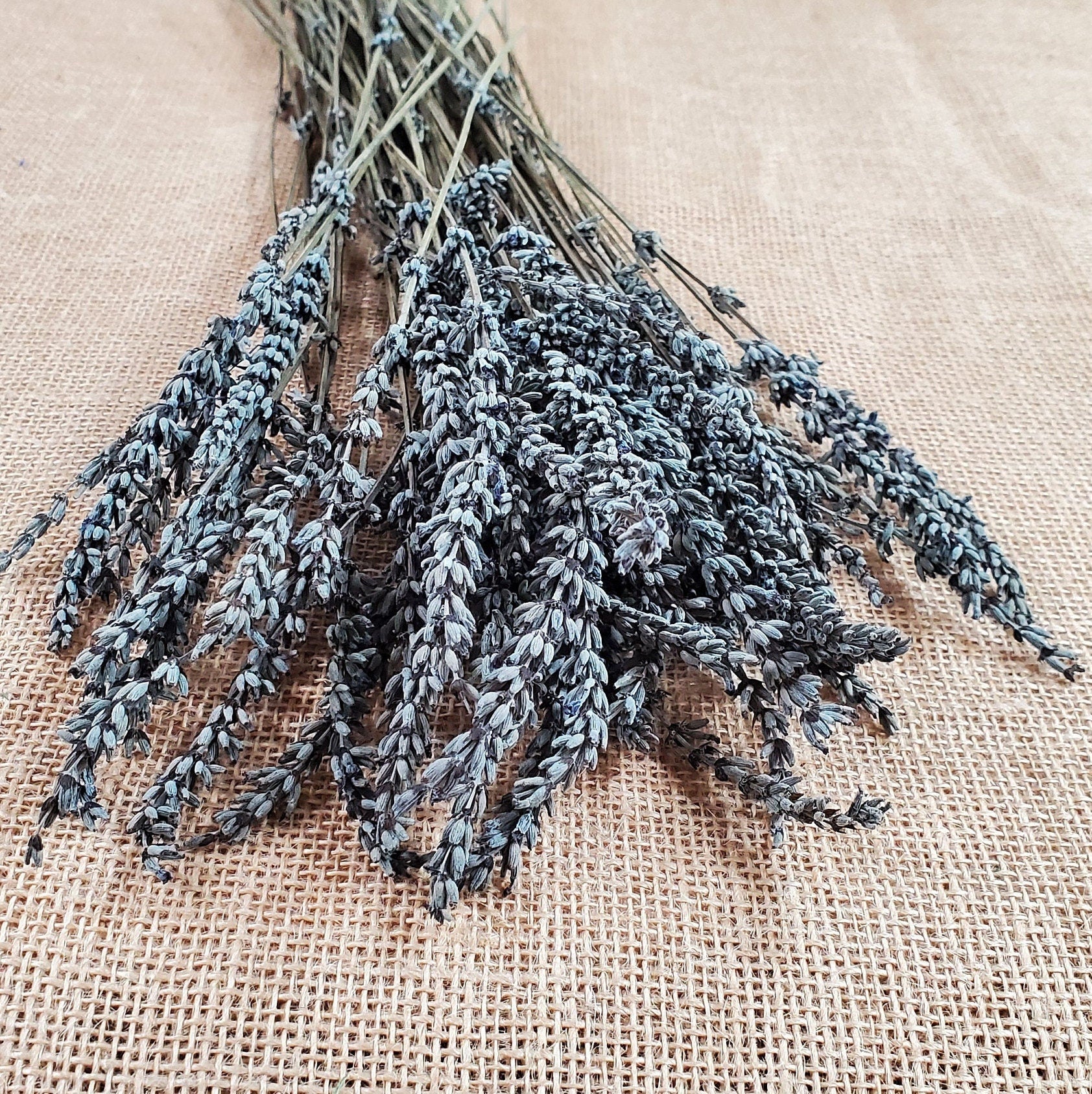 Organic Dried Lavender: Bulk Wholesale, Relaxing Aroma (4oz)