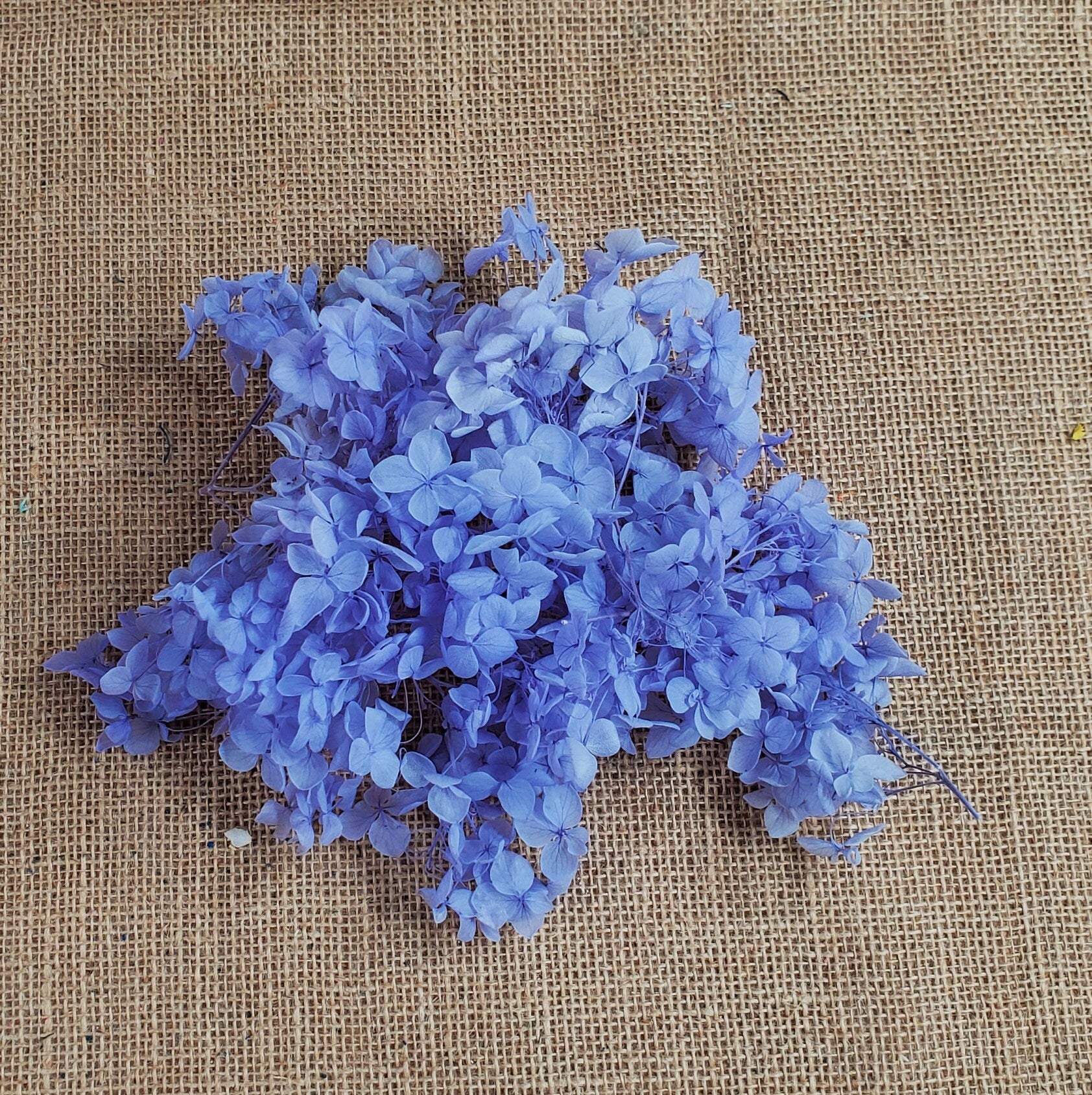 Preserved Hydrangeas: Colorful Dried Flowers, Wedding Home Decor