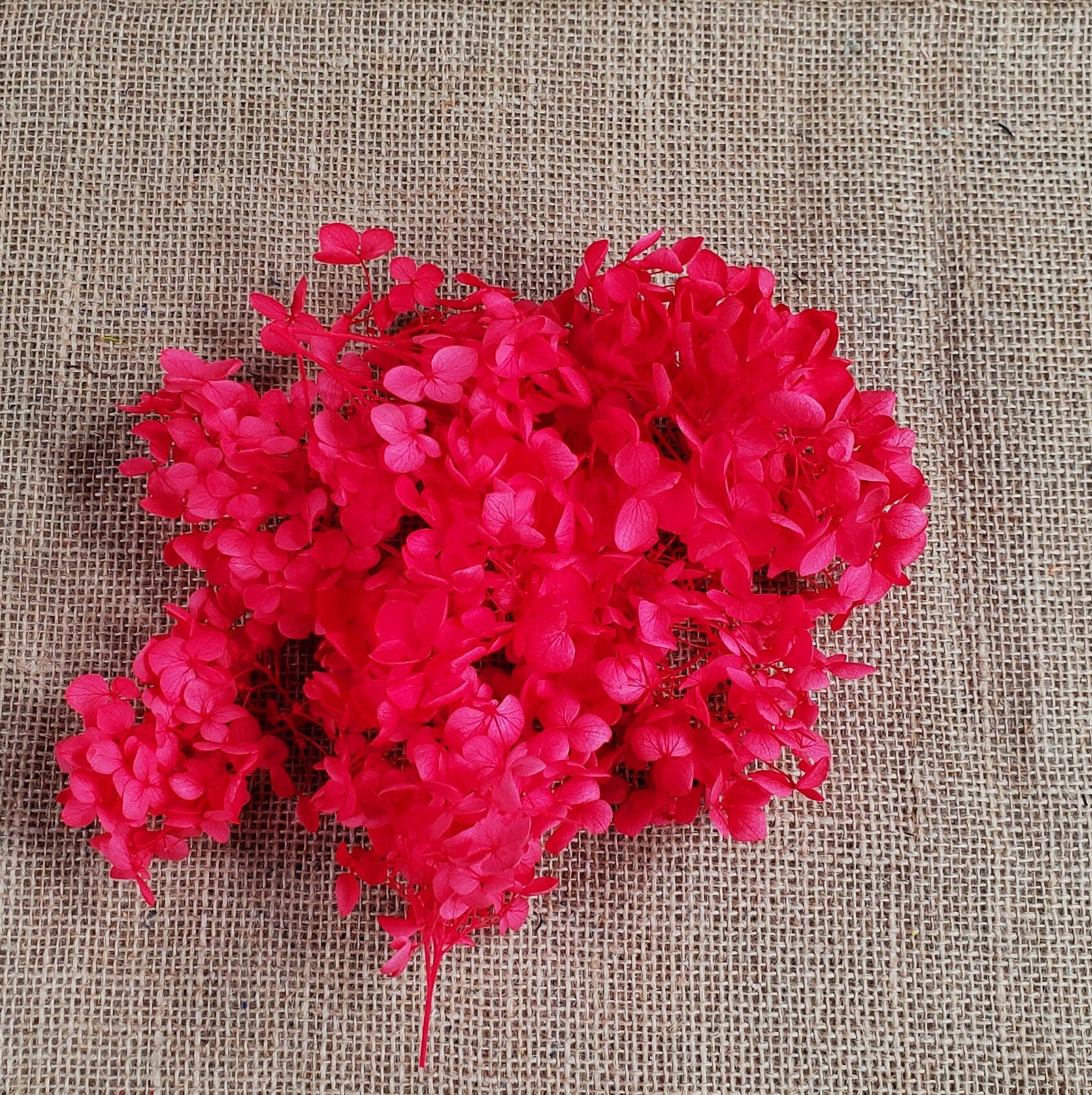 Preserved Hydrangeas: Colorful Dried Flowers, Wedding Home Decor