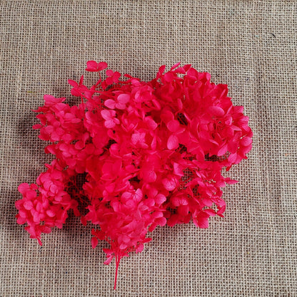 Preserved Hydrangeas: Colorful Dried Flowers, Wedding Home Decor