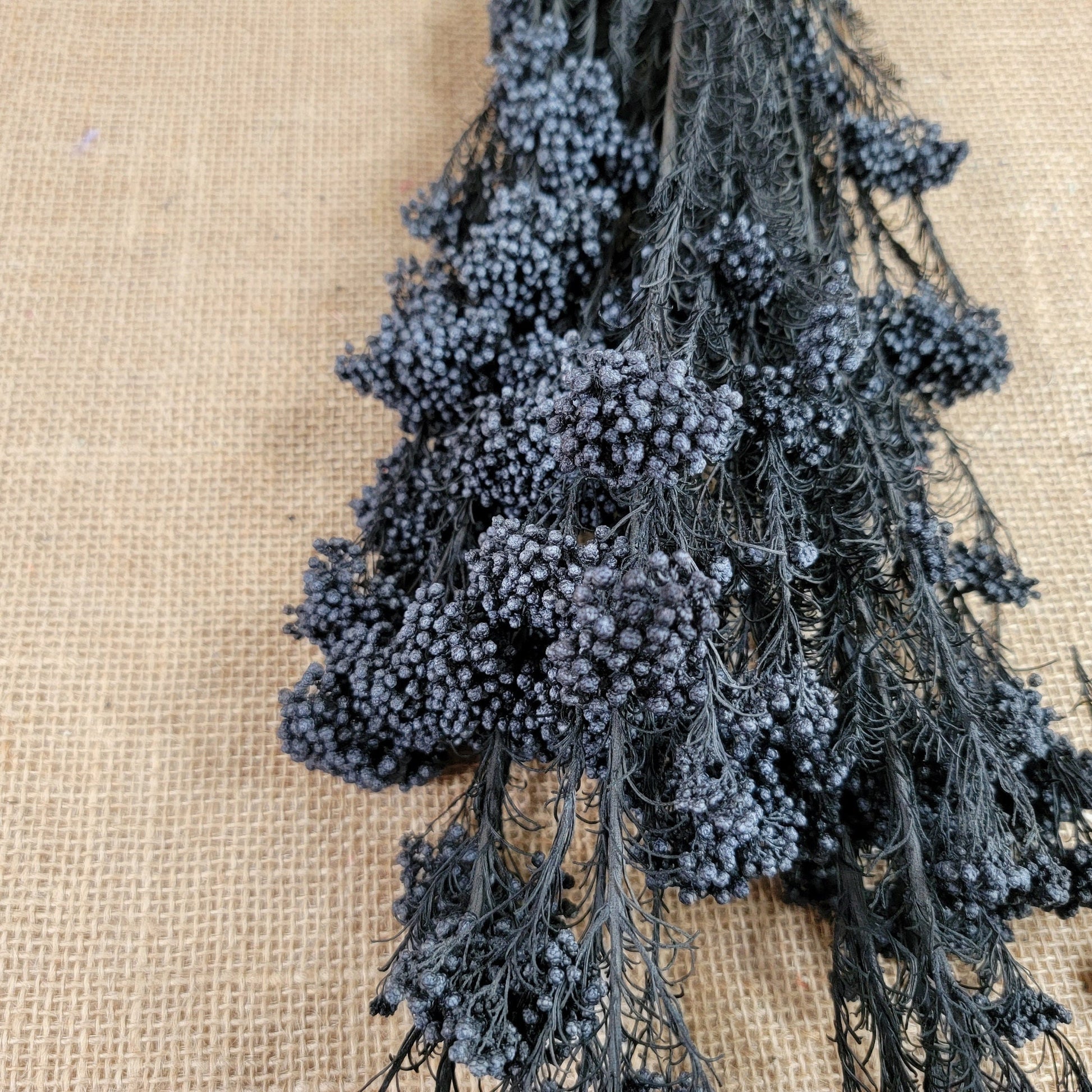 Black Preserved rice flower, flowers for bouquets, wedding flowers, filler, dried flowers arrangements, Wedding decor, 19"-20"tall,