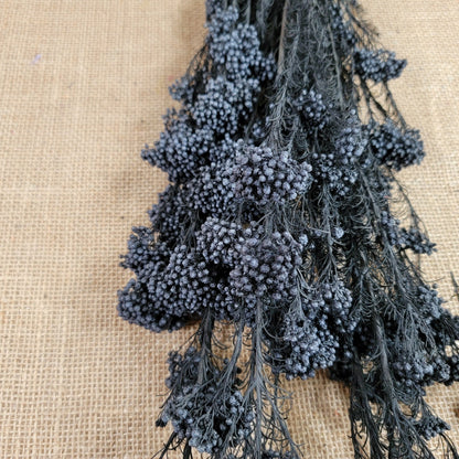 Black Preserved rice flower, flowers for bouquets, wedding flowers, filler, dried flowers arrangements, Wedding decor, 19"-20"tall,