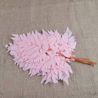 Preserved Pink Fern Stems: Soft Leather Leaf Floral Decor