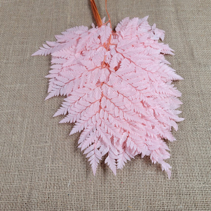 Preserved Pink Fern Stems: Soft Leather Leaf Floral Decor