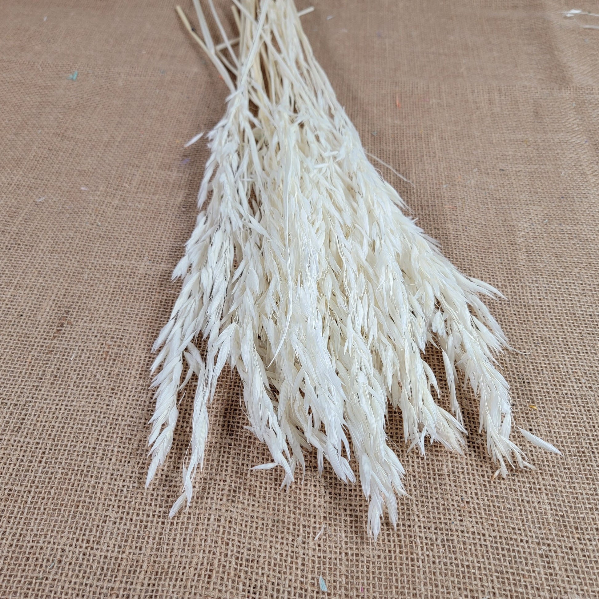 Dried Oats Flower Bundle: Home & Wedding Decor, 20 Stems